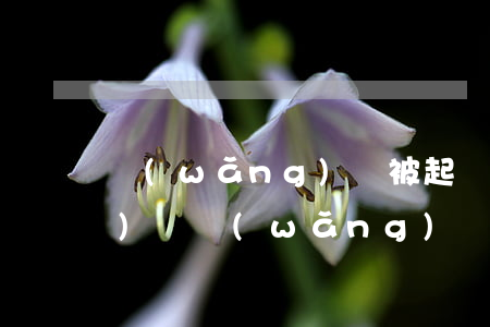 網(wǎng)貸被起訴如何應(yīng)訴，網(wǎng)貸被起訴？教你如何應(yīng)對(duì)訴訟